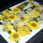 "Yellow" Bouquet Dried Flowers