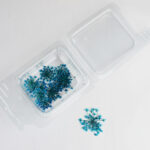 Blue Dried flowers