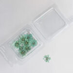 Light Green Dried flowers