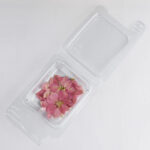 Powder Pink Florets - Dried flowers
