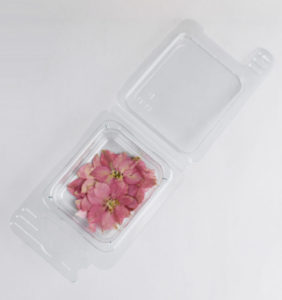 Powder Pink Florets - Dried flowers