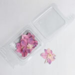 Pink Florets - Dried flowers