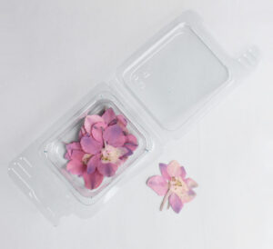 Pink Florets – Dried flowers