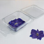 Violet Dried flowers