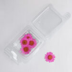 12 pcs Dried flowers