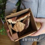 Eucalyptus Cuttings – 900 g Box