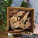 Eucalyptus Cuttings – 1.8 kg Box