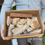 Eucalyptus Cuttings – 4.5 kg Box